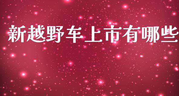 新越野车上市有哪些_https://m.apzhendong.com_全球经济_第1张