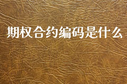 期权合约编码是什么_https://m.apzhendong.com_财经资讯_第1张