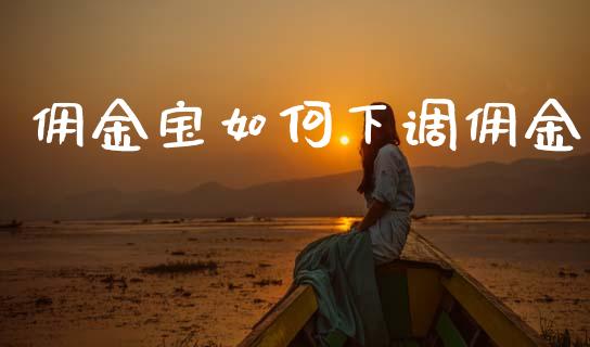 佣金宝如何下调佣金_https://m.apzhendong.com_全球经济_第1张