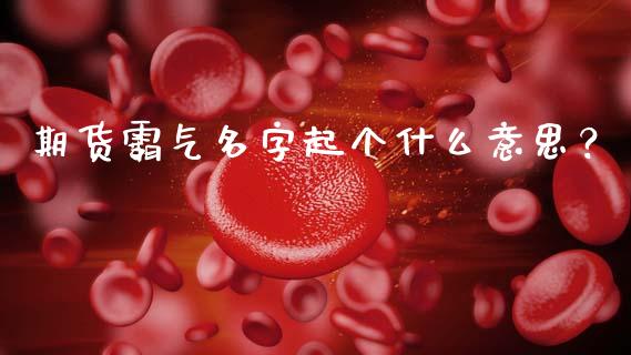 期货霸气名字起个什么意思？_https://m.apzhendong.com_财务分析_第1张