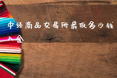 中经商品交易所最低多少钱入金_https://m.apzhendong.com_财经资讯_第1张