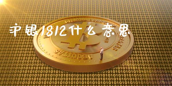 沪银1812什么意思_https://m.apzhendong.com_财务分析_第1张