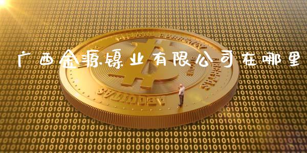 广西金源镍业有限公司在哪里_https://m.apzhendong.com_全球经济_第1张