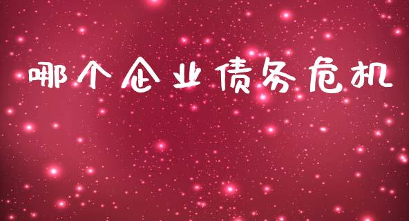 哪个企业债务危机_https://m.apzhendong.com_财务分析_第1张