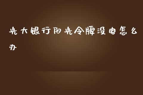 光大银行阳光令牌没电怎么办_https://m.apzhendong.com_财经资讯_第1张