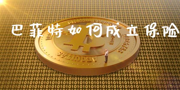 巴菲特如何成立保险_https://m.apzhendong.com_财务分析_第1张