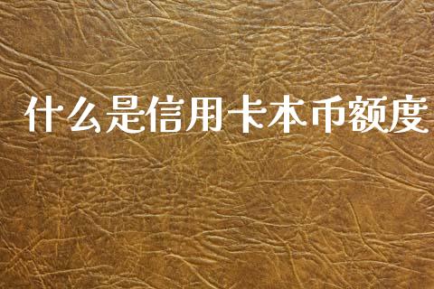 什么是信用卡本币额度_https://m.apzhendong.com_财务分析_第1张