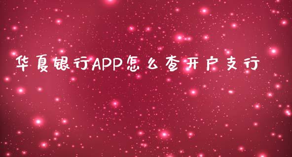 华夏银行APP怎么查开户支行_https://m.apzhendong.com_财务分析_第1张