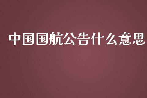 中国国航公告什么意思_https://m.apzhendong.com_财经资讯_第1张