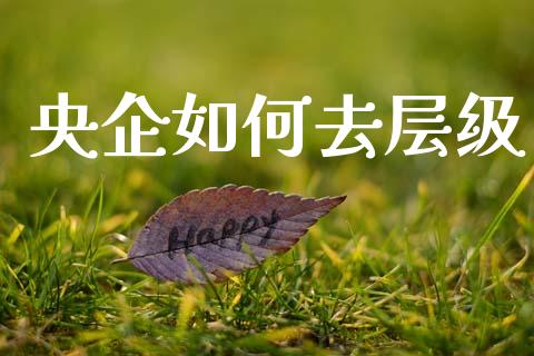 央企如何去层级_https://m.apzhendong.com_财经资讯_第1张