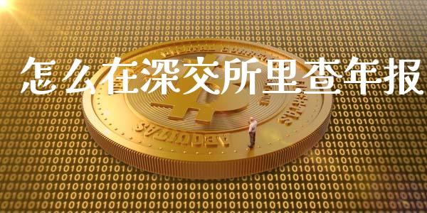 怎么在深交所里查年报_https://m.apzhendong.com_期货行情_第1张