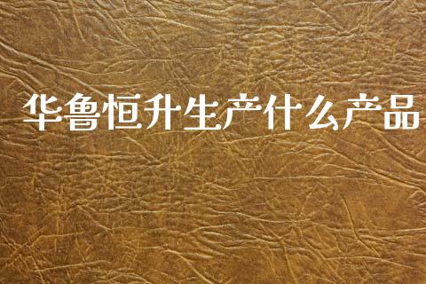 华鲁恒升生产什么产品_https://m.apzhendong.com_财经资讯_第1张