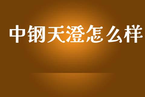 中钢天澄怎么样_https://m.apzhendong.com_全球经济_第1张