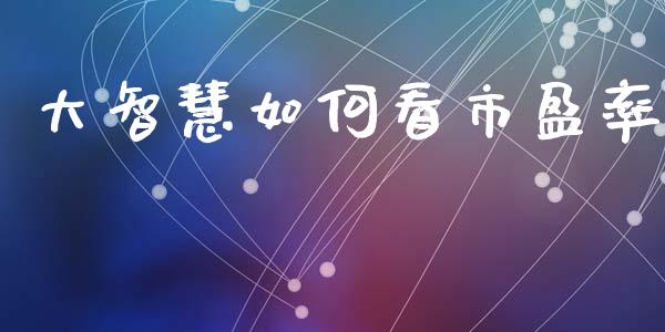 大智慧如何看市盈率_https://m.apzhendong.com_财务分析_第1张
