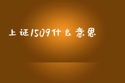 上证1509什么意思_https://m.apzhendong.com_财务分析_第1张