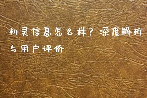 初灵信息怎么样？深度解析与用户评价_https://m.apzhendong.com_全球经济_第1张