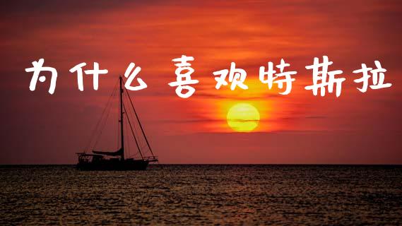 为什么喜欢特斯拉_https://m.apzhendong.com_财经资讯_第1张