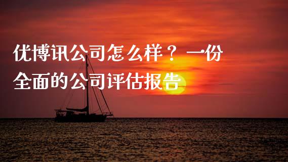 优博讯公司怎么样？ 一份全面的公司评估报告_https://m.apzhendong.com_财务分析_第1张