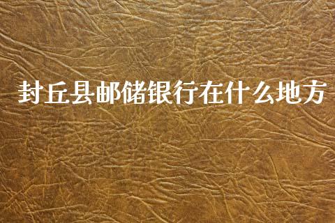 封丘县邮储银行在什么地方_https://m.apzhendong.com_财经资讯_第1张