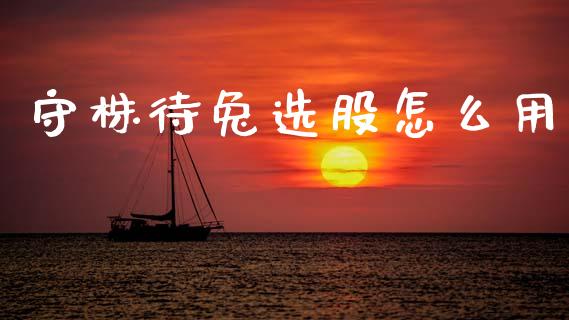 守株待兔选股怎么用_https://m.apzhendong.com_全球经济_第1张