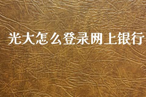 光大怎么登录网上银行_https://m.apzhendong.com_全球经济_第1张