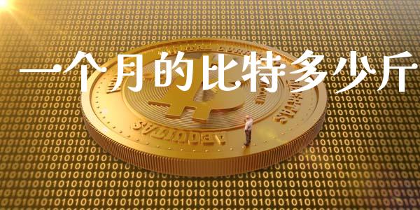 一个月的比特多少斤_https://m.apzhendong.com_财务分析_第1张