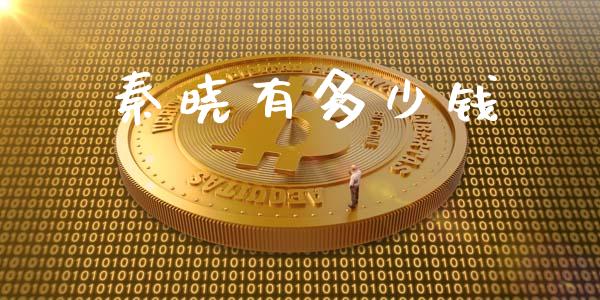 秦晓有多少钱_https://m.apzhendong.com_财务分析_第1张