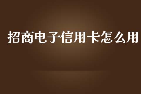 招商电子信用卡怎么用_https://m.apzhendong.com_财经资讯_第1张