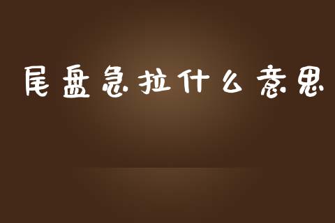 尾盘急拉什么意思_https://m.apzhendong.com_财经资讯_第1张