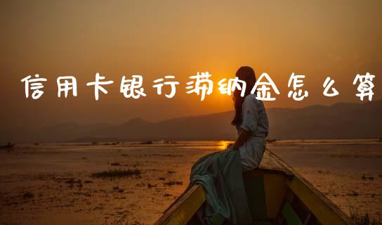 信用卡银行滞纳金怎么算_https://m.apzhendong.com_期货行情_第1张