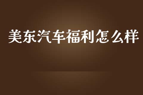 美东汽车福利怎么样_https://m.apzhendong.com_财经资讯_第1张