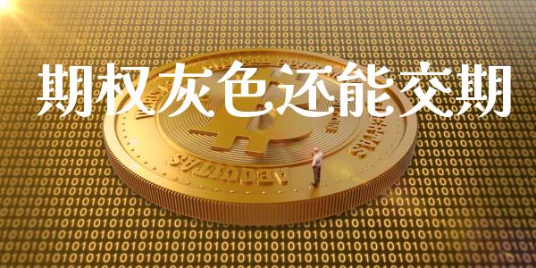 期权灰色还能交期_https://m.apzhendong.com_财务分析_第1张