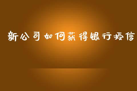 新公司如何获得银行授信_https://m.apzhendong.com_财务分析_第1张