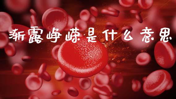 渐露峥嵘是什么意思_https://m.apzhendong.com_期货行情_第1张
