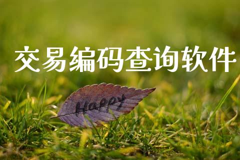 交易编码查询软件_https://m.apzhendong.com_财务分析_第1张