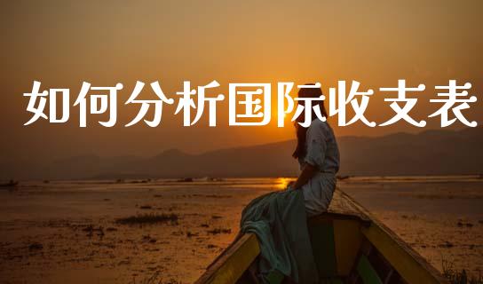 如何分析国际收支表_https://m.apzhendong.com_财经资讯_第1张