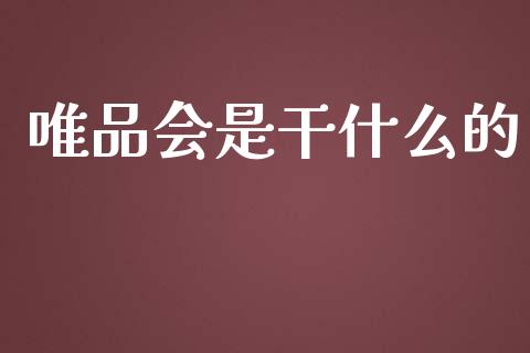 唯品会是干什么的_https://m.apzhendong.com_财务分析_第1张