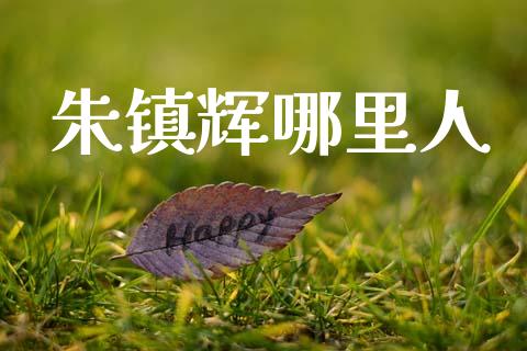 朱镇辉哪里人_https://m.apzhendong.com_财经资讯_第1张