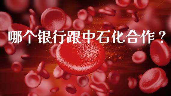 哪个银行跟中石化合作？_https://m.apzhendong.com_财务分析_第1张