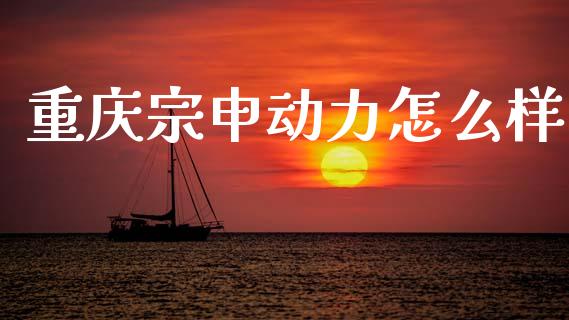 重庆宗申动力怎么样_https://m.apzhendong.com_财经资讯_第1张