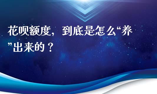 花呗额度，到底是怎么“养”出来的？_https://m.apzhendong.com_全球经济_第1张