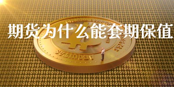 期货为什么能套期保值_https://m.apzhendong.com_全球经济_第1张
