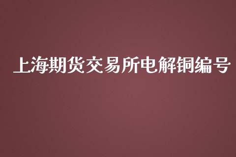 上海期货交易所电解铜编号_https://m.apzhendong.com_全球经济_第1张