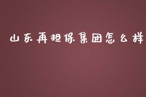 山东再担保集团怎么样_https://m.apzhendong.com_全球经济_第1张