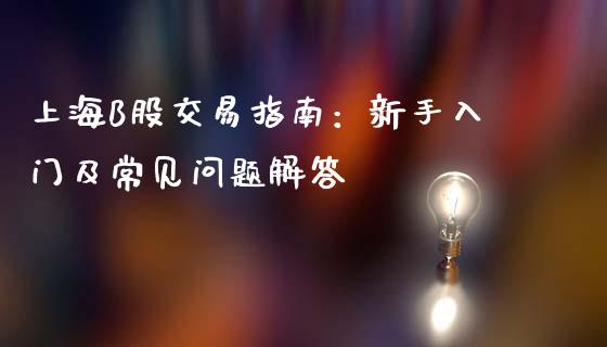 上海B股交易指南：新手入门及常见问题解答_https://m.apzhendong.com_全球经济_第1张