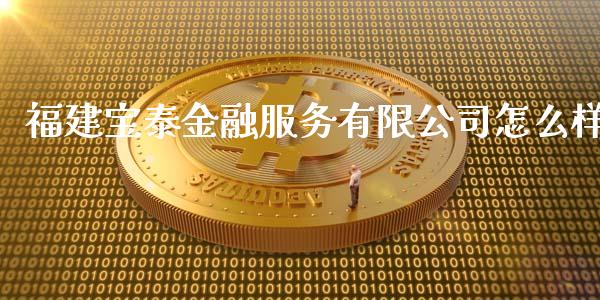 福建宝泰金融服务有限公司怎么样_https://m.apzhendong.com_财务分析_第1张