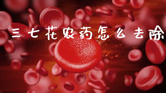 三七花农药怎么去除_https://m.apzhendong.com_期货行情_第1张