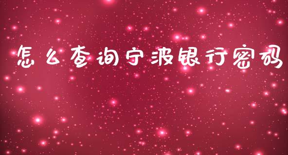 怎么查询宁波银行密码_https://m.apzhendong.com_全球经济_第1张