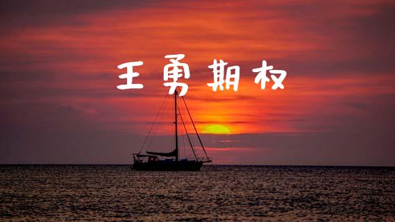 王勇期权_https://m.apzhendong.com_财务分析_第1张