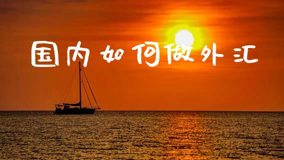 国内如何做外汇_https://m.apzhendong.com_财经资讯_第1张